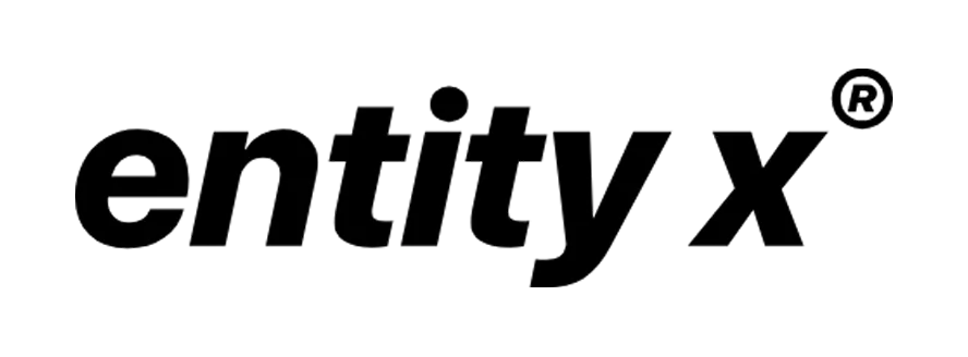 Entity X